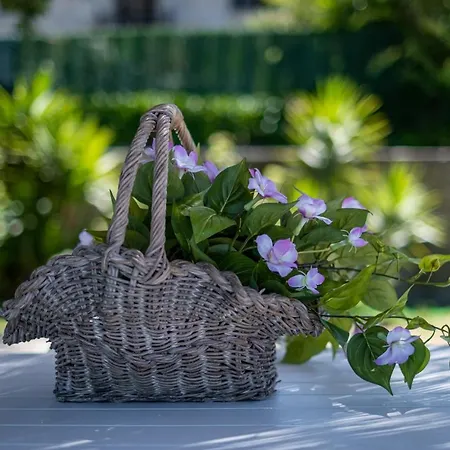Quinta De Carvalhal - Casa Da Vinha Holiday home *