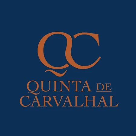 別荘 Quinta De Carvalhal - Casa Da Vinha