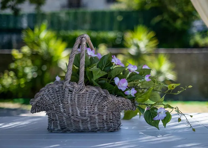 Quinta De Carvalhal - Casa Da Vinha Tatil Evi *